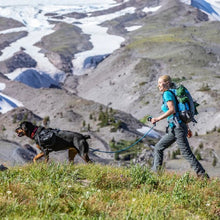 Load image into Gallery viewer, Kurgo Harnais Pour Chien "Townie", Noir