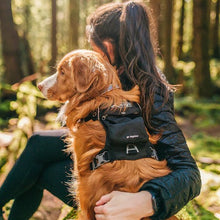 Load image into Gallery viewer, Kurgo Harnais "Stash N' Dash"