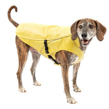 Load image into Gallery viewer, Kurgo Imperméable de pluie "Halifax", Jaune
