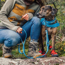 Load image into Gallery viewer, Kurgo Laisse "Stub RSG" conception en échelle ajustable, Bleu côtier / gris charbon