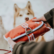 Load image into Gallery viewer, Kurgo Trousse de premier soins pour chien