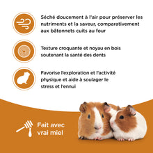 Load image into Gallery viewer, Living World Vegetable Flavor Sticks for Guinea Pigs