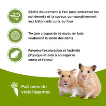Load image into Gallery viewer, Living World Vegetable Flavor Sticks for Guinea Pigs