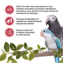 Load image into Gallery viewer, Living World Gâteries pour perroquets - Bâtonnets aux fruits - Paquet de 2 - 100 gr