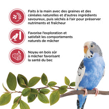 Load image into Gallery viewer, Living World Gâteries pour perruches - Bâtonnets aux fruits - Paquet de 2 - 90 gr