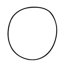 Load image into Gallery viewer, Joint torique du couvercle des filtres Pressure-Flo 700/1400 Laguna