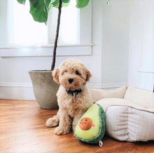 Load image into Gallery viewer, Jouet pour chien en peluche Zippy Paws, Avocado
