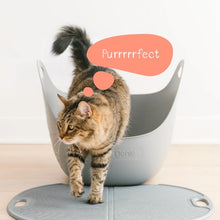 Load image into Gallery viewer, Litter Genie Bac à litière avec pelle - Gris