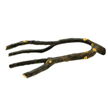 Load image into Gallery viewer, Perchoir Nature’s Perch Living World