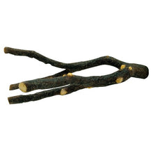 Load image into Gallery viewer, Perchoir Nature’s Perch Living World