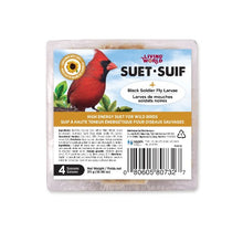 Load image into Gallery viewer, Suif Living World pour oiseaux sauvages avec morceaux de graines de tournesol, 311 g (10,96 oz)