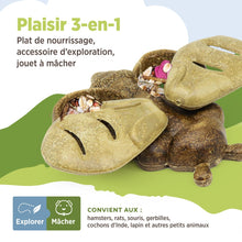 Load image into Gallery viewer, Living World Accessoire de nourrissage comestible - Abeille - Brun 120 gr (4,2 oz)