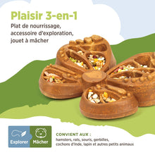 Load image into Gallery viewer, Living World Accessoire de nourrissage comestible - Papillon - Orange - 180 gr (6,3 oz)