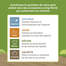 Load image into Gallery viewer, Living World Cachette comestible - Pont en arc - Verte - 165 gr (5,8 oz)