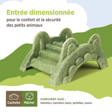 Load image into Gallery viewer, Living World Cachette comestible - Pont en arc - Verte - 165 gr (5,8 oz)