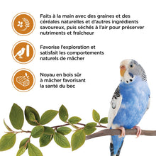 Load image into Gallery viewer, Living World Gâteries pour perruches - Bâtonnets au miel - Paquet de 2 - 90 gr