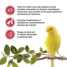 Load image into Gallery viewer, Living World Gâteries pour serins - Bâtonnets aux fruits - Paquet de 2 - 60 gr