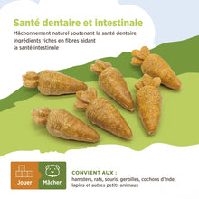 Load image into Gallery viewer, Living World Jouet à mâcher comestible - Carottes - Orange - Paquet de 6 - 78 gr (2,7 oz)