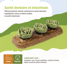 Load image into Gallery viewer, Living World Jouet à mâcher comestible - Carré de choux - Multicolore - 165 gr (5,8 oz)