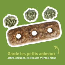 Load image into Gallery viewer, Living World Jouet à mâcher comestible - Carré de choux - Multicolore - 165 gr (5,8 oz)