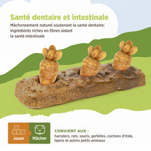 Load image into Gallery viewer, Living World Jouet à mâcher comestible - Lit de carottes - Multicolore - 140 gr (4,9 oz)