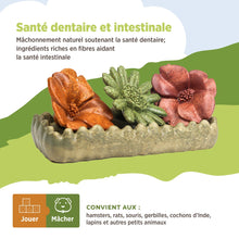 Load image into Gallery viewer, Living World Jouet à mâcher comestible - Lit de fleurs - Multicolore - 150 gr (5,2 oz)
