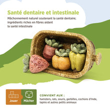 Load image into Gallery viewer, Living World Jouet à mâcher comestible - Panier de récolte - Multicolore - 158 gr (5,5 oz)