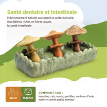 Load image into Gallery viewer, Living World Jouet à mâcher comestible - Parcelle de champignons - Multicolore - 170 gr (5,9 oz)