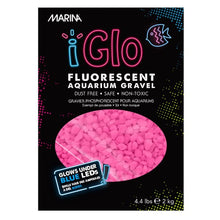 Load image into Gallery viewer, Gravier fluorescent iGlo Marina, rose