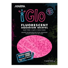 Load image into Gallery viewer, Gravier fluorescent iGlo Marina, rose