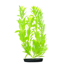 Load image into Gallery viewer, Hygrophila VibraScaper Marina, vert phosphorescent, grande, 30 cm (12 po)