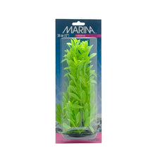 Load image into Gallery viewer, Hygrophila VibraScaper Marina, vert phosphorescent, grande, 30 cm (12 po)