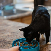 Load image into Gallery viewer, Messy Mutts Bol Ralentisseur - Bleu
