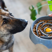 Load image into Gallery viewer, Messy Mutts Bol Ralentisseur - Bleu