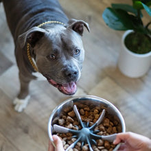 Load image into Gallery viewer, Messy Mutts Ralentisseur à ventouses pour intérieur de bol, taille ajustable