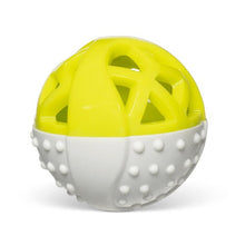Load image into Gallery viewer, Messy Mutts "Totally Pooched, Catch 'N Squeak" Jouet balle en caoutchouc pour chien, Verte