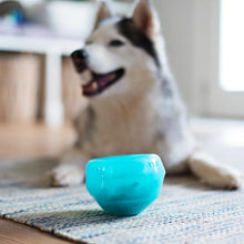 Load image into Gallery viewer, Messy Mutts "Totally Pooched, Stuff'n Wobble Ball" Jouet Interactif Pour Chien, Bleu