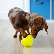 Load image into Gallery viewer, Messy Mutts "Totally Pooched, Stuff'n Wobble Ball" Jouet interactif pour chien - 3 po - Vert