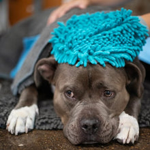 Load image into Gallery viewer, Messy Mutts Gant de toilettage en microfibre chenille, Bleu