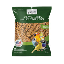 Load image into Gallery viewer, Living World Bunch Millets for Birds