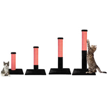 Load image into Gallery viewer, Noba Evolution - 4 en 1 Griffoir Évolutif - Fausse fourrure noire / Corde rose