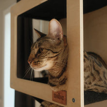 Load image into Gallery viewer, Noba Origin – Collection murale – Ensemble complet - Aire de jeux verticale - Noir