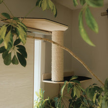 Load image into Gallery viewer, Noba Origin – Collection murale – Ensemble complet - Aire de jeux verticale - Noir