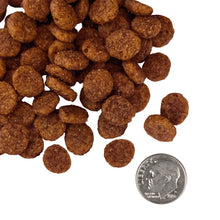 Load image into Gallery viewer, Nourriture Fromm Nutritionals Formule mobilité pour chien - Recette poulet et avoine entière