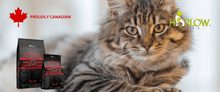 Load image into Gallery viewer, harlow blend nourriture pour chat_nourriture_canadienne_pour_chat
