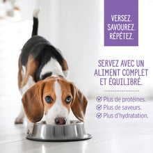 Load image into Gallery viewer, Nutrience garnitures Style maison pour chiens - Poulet et quinoa - 152 gr