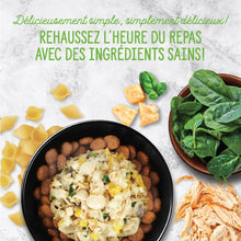 Load image into Gallery viewer, Nutrience garnitures Style maison pour chiens - Poulet florentine - 152 gr