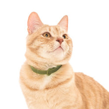 Load image into Gallery viewer, Nuvuq Collier ajustable avec attache de sécurité pour chat - Vert olive
