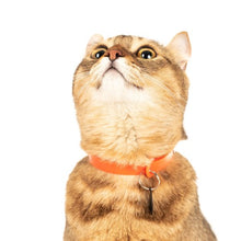 Load image into Gallery viewer, Nuvuq Collier ajustable avec attache de sécurité pour chat, Orange tangerine