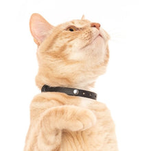 Load image into Gallery viewer, Nuvuq Collier ajustable avec attache de sécurité pour chat, Poivre noir